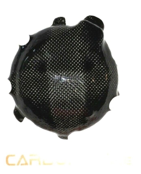 Lichtmaschinendeckel - Protektor KAWASAKI ZX14R ZZR1400 GTR1400 CARBON