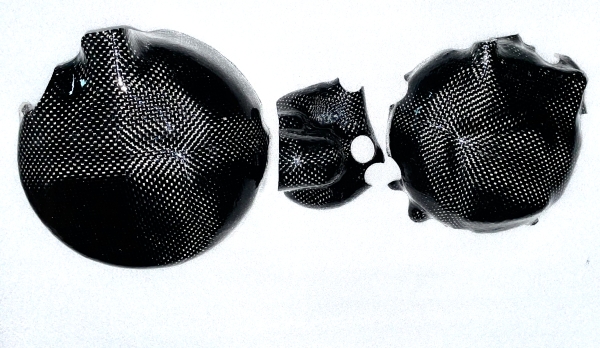 SET KAWASAKI ZX12R 3x CARBON KUPPLUNGSDECKEL LIMADECKEL WASSERPUMPE