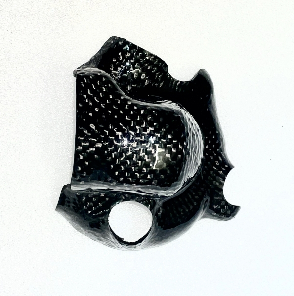KAWASAKI ZX10R 2011 - 2024 CARBON WASSERPUMPEN PROTEKTOR