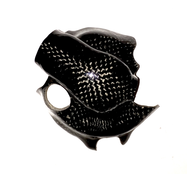 KAWASAKI ZX6R 2005 - 2006 WASSERPUMPEN-PROTEKTOR CARBONE COVER